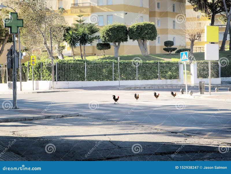 Image: Descubre el Atractivo Juego de Azar de Chicken Road en España